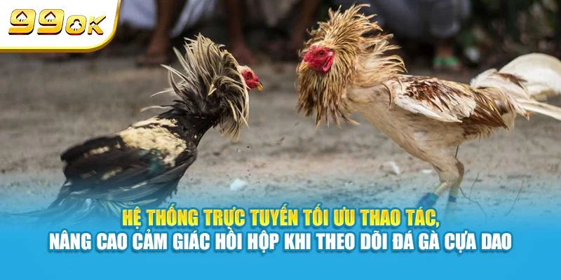 Đá Gà Cựa Dao 99OK - Trực Tiếp Các Trận Đấu Kịch Tính 6 Hệ thống trực tuyến tối ưu thao tác, nâng cao cảm giác hồi hộp khi theo dõi đá gà cựa dao