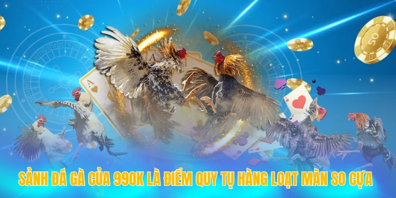 TRANG CHỦ 99OK 15 Sảnh đá gà của 99OK là điểm quy tụ hàng loạt màn so cựa